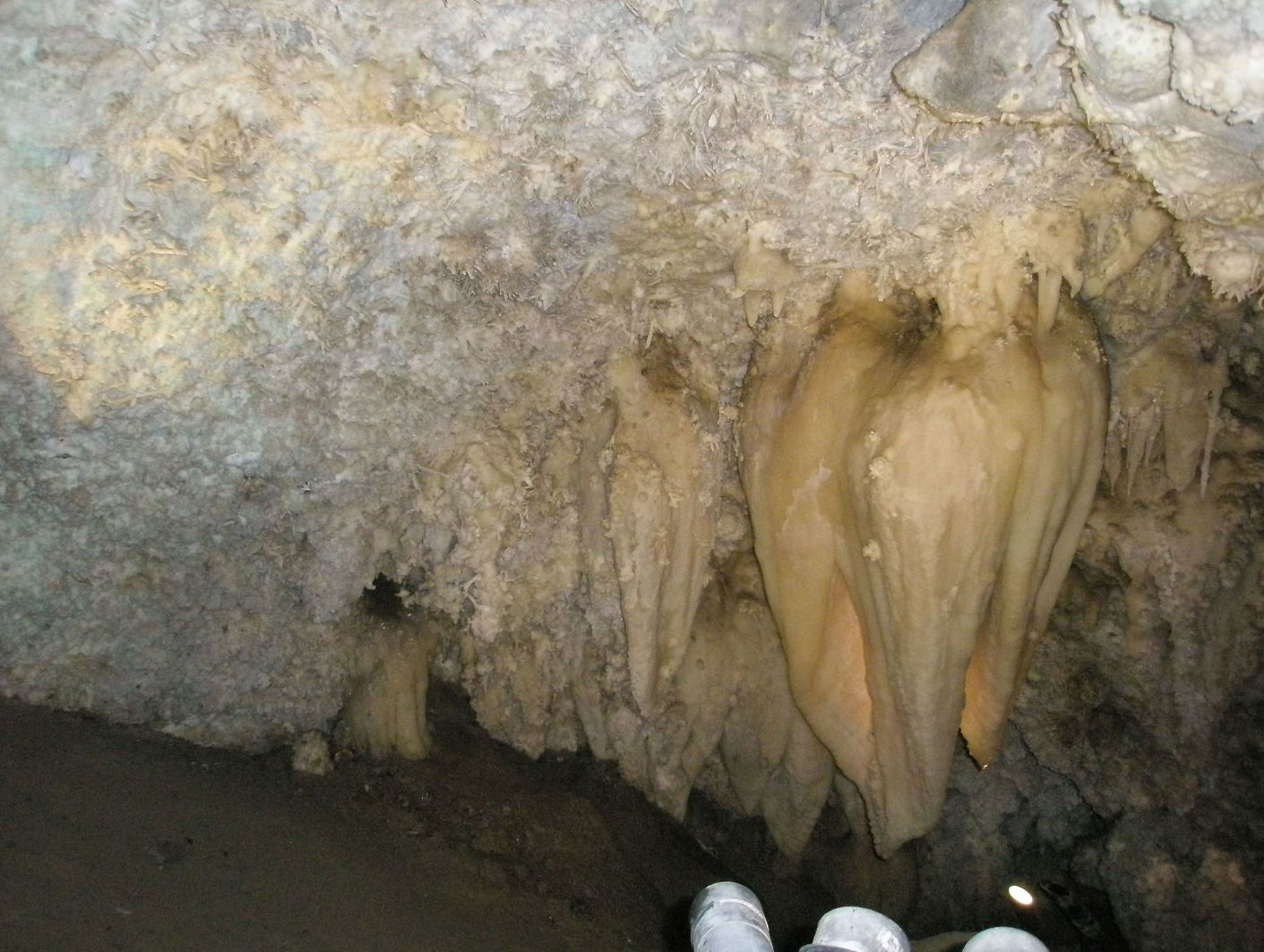 Cream-colored rock formation attached to a cave ceiling that resembles a human heart.