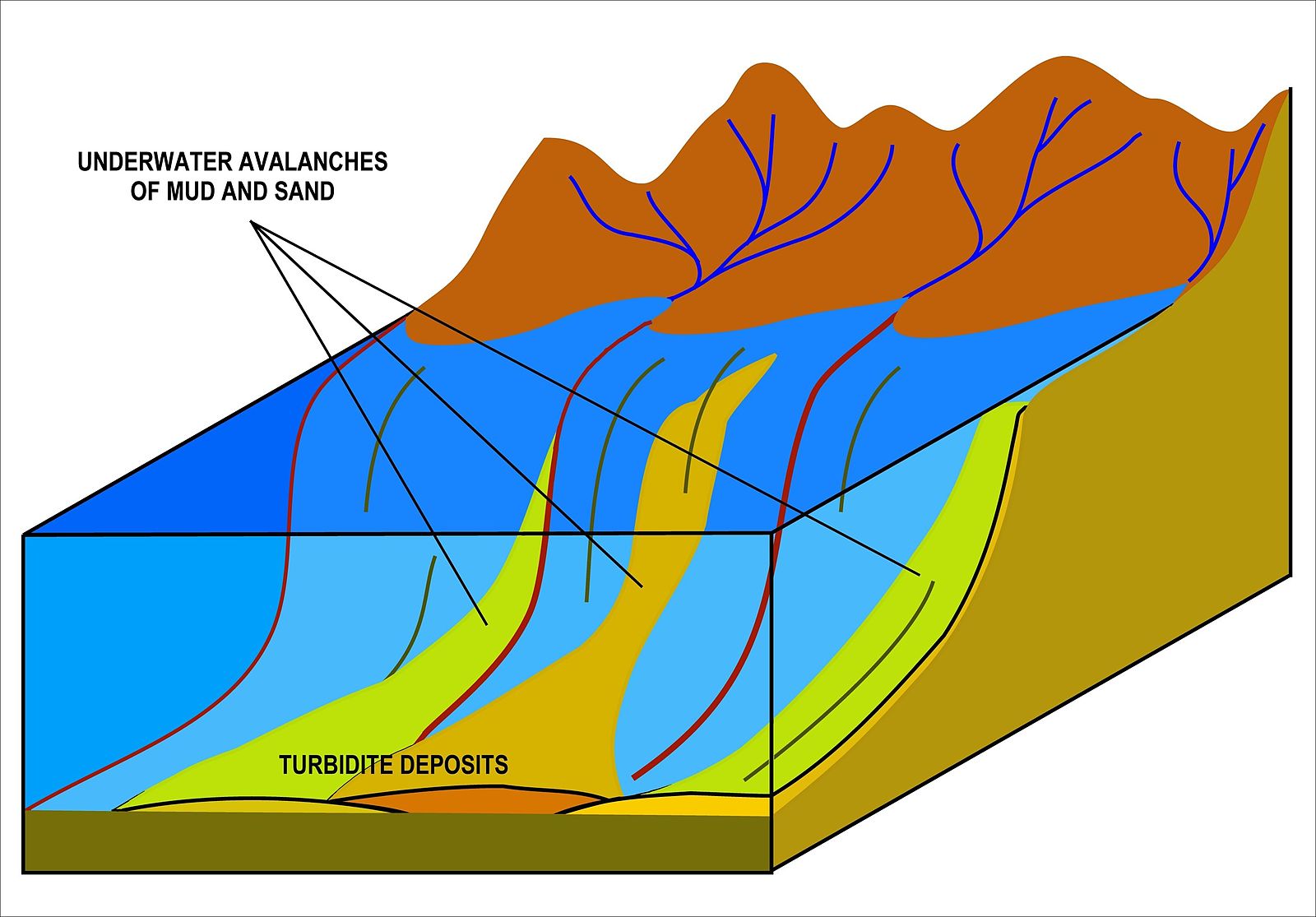 Block diagram showing continental shelf sloping down toward deep ocean water with underwater avalanches of mud and sand labeled on the slope and lumps at the base labeled Turbidite Deposits.