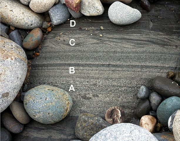 Rock with the following layers labeled from bottom to top: layer labeled A is coarse-to fine-grained tan and gray sandstone; layer labeled B is finely laminated medium-to fine-grained gray and black sandstone; layer labeled C is black and gray rippled fine-grained sandstone; and the layer labeled D is finely laminated black siltstone grading to mudstone. There are also rounded cobbles lying around the described rock.