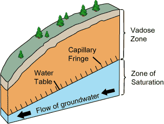 Cross sectional diagram that shows the subsurface below a vegetated ground surface that slopes downward toward the left; the upper part of the ground is labeled Vadose Zone and the part below that zone is labeled Zone of Saturation. The boundary between the zones is labeled Water Table and there is a small zone just above the Water Table labeled Capillary Fringe. The flow of groundwater is toward the left.