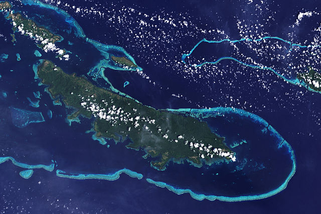 Satellite image of an elongate dark green island that's surrounded by deep blue water. A reef can be seen as a lighter blue ring outside of the island.