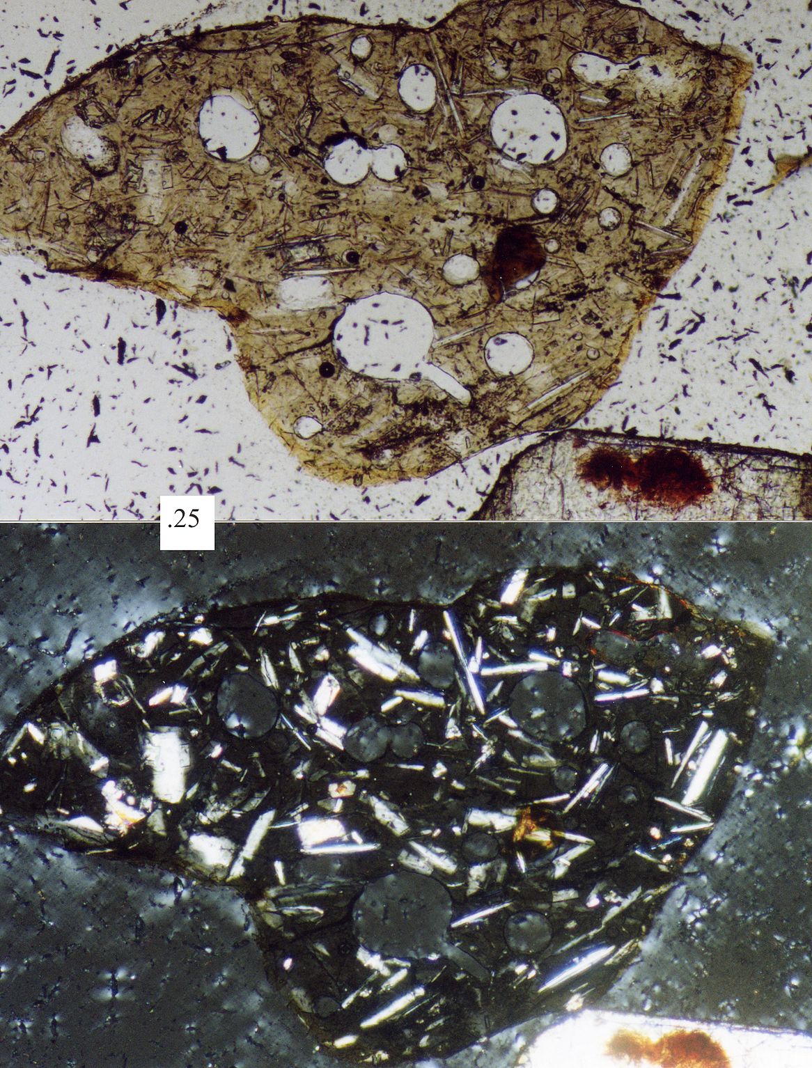 Two microscopic photos of the same sand grain made of basalt with a photo length of 0.25 mm. The top picture is plane-polarized light and shows a tan grain with numerous highlighted holes throughout it while the bottom is cross-polarized light and shows a black grain with numerous highlighted elongated grains throughout it.