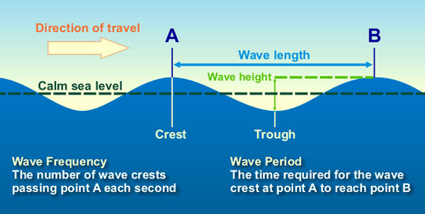 Diagram of water waves: the peak of the wave is labeled Crest, the lowest part is labeled Trough, and the Wave height is the distance between the crest and trough. The distance between two successive crests is labeled Wavelength; a horizontal dashed line halfway between the crest and trough is labeled Calm sea level.