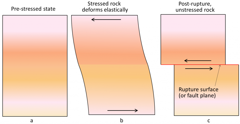 A (prestressed state): rectangle with no movement. B (stressed rock deforms elastically): rectangle has curvy movement in the middle from top being pulled left and bottom being pulled right. C (post-rupture, unstressed rock): rectangle split in the middle on the rupture surface or fault plane. top moves left, bottom moves right.