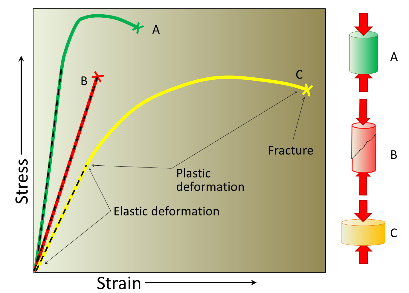 Chart demonstrating the deformation of different materials when stress is applied.