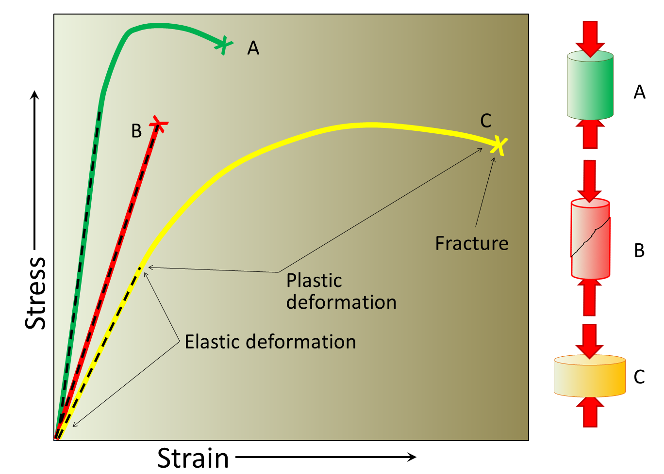 Chart with Stress increasing upward and Strain increasing toward the right; three color-coded curves are on the graph: curve A is green and increases upward with little movement toward the right until it ends near the top; curve B  is red and increases upward before abruptly ending; and curve C is yellow and has a broad arc up and to the right before ending toward the far right of the chart.