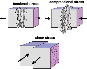 Tensional stress where dominant stresses are pulling away from the object, compressional stress where dominant stress is pushing in towards the object, and shear, where part of the object is pushed and part of the object is pulled (stresses in opposite directions)