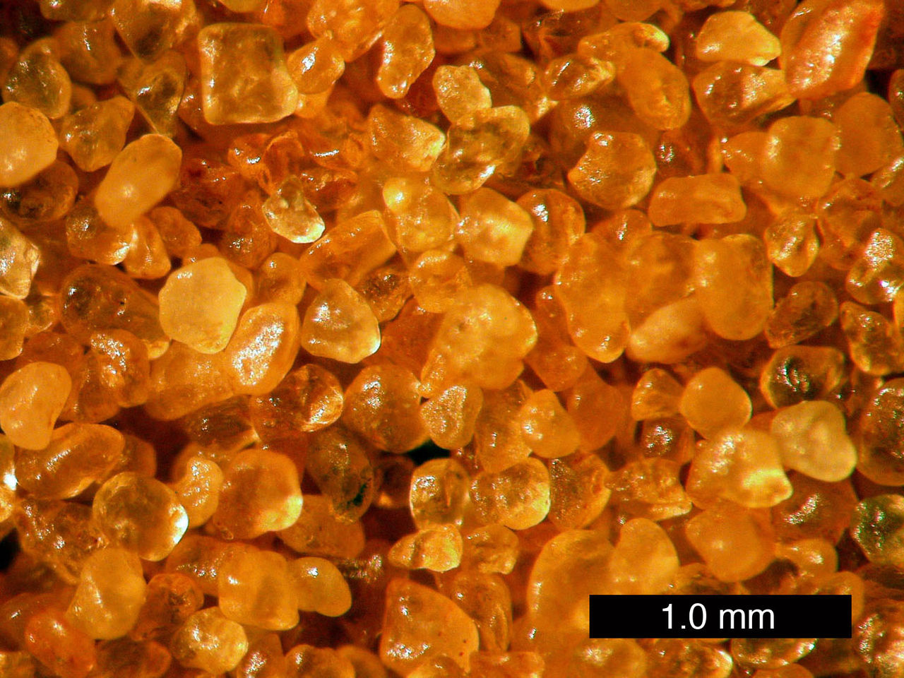 Close-up photo of unconsolidated amber-colored glassy grains with rounded edges; a scale bar at the lower right says 1.0 mm.
