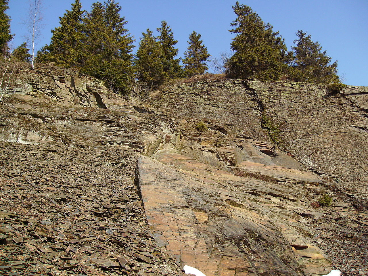 Outcrop of tan to brown thinly layered rock.
