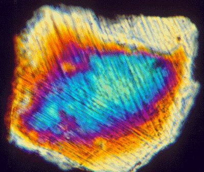 A microscopic view of a grain that has visible thin lines forming a V-shape through the grain; it has a prismatic inside with a blue center, purple ring around the center, and yellow outer ring; outside of the ring the mineral is white.