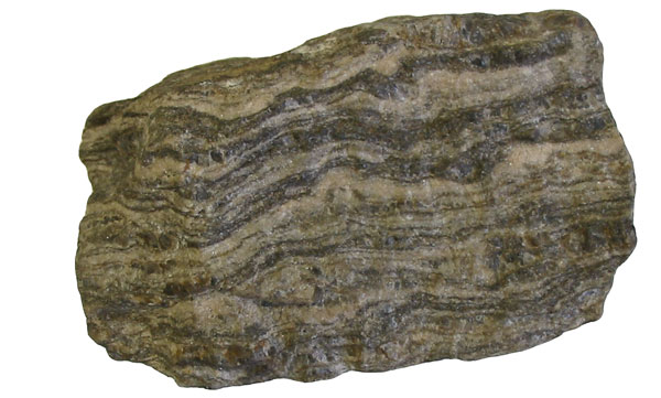 Sample of gneiss exhibiting "gneissic banding"