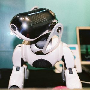 A close up photograph of an Aibo, an approximately one foot tall robot dog, viewed from the front. The face is a black screen, and is pointed to the upper left. The rest of the body is white.